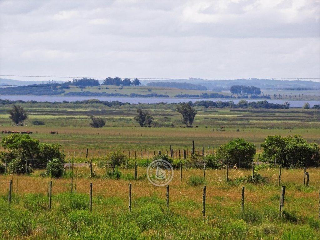Casa De Campo Cerca Del Cabo Villa Rincon de los Oliveras Bagian luar foto
