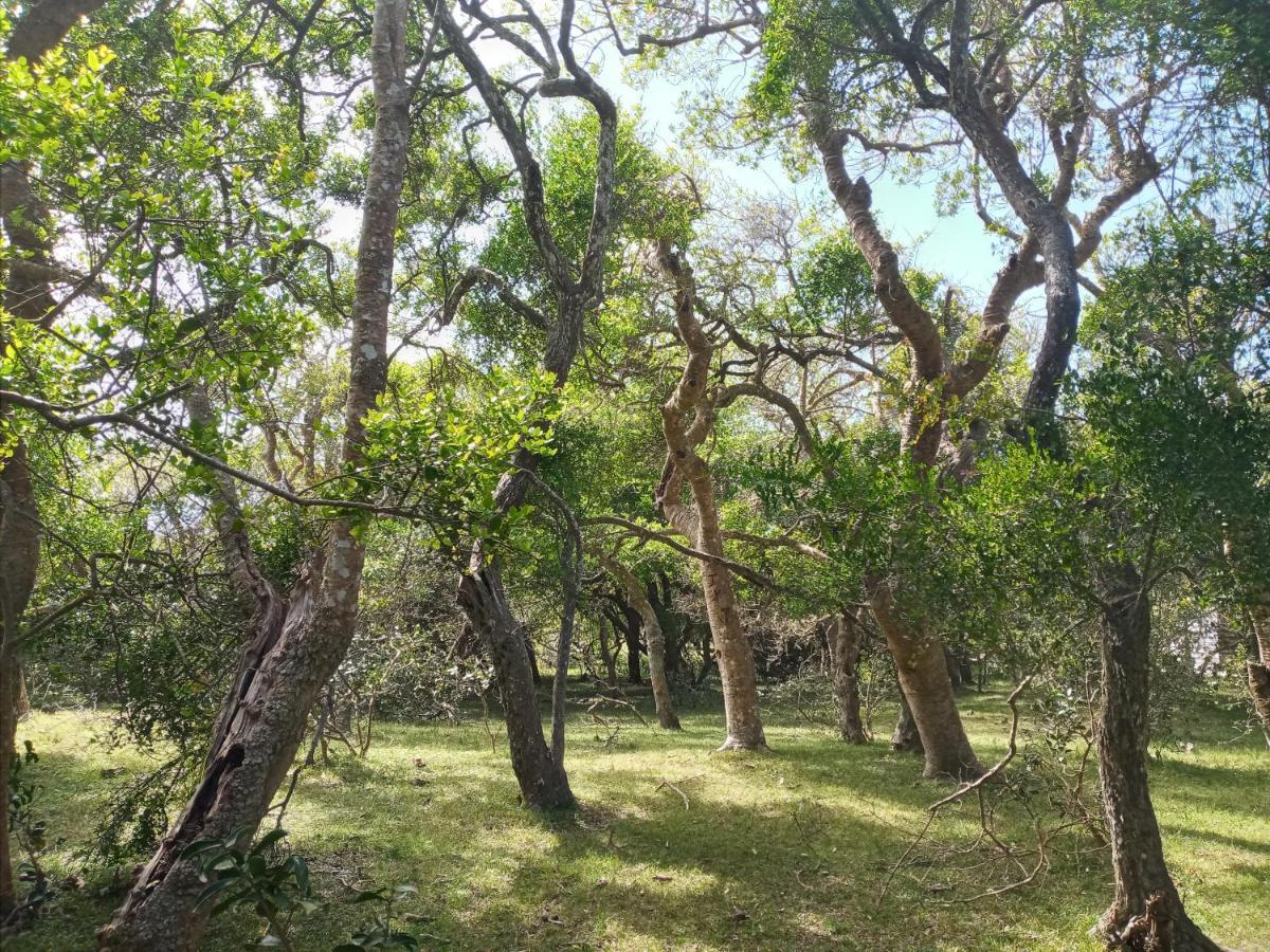 Casa De Campo Cerca Del Cabo Villa Rincon de los Oliveras Bagian luar foto